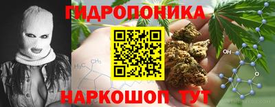 индика Ачхой-Мартан