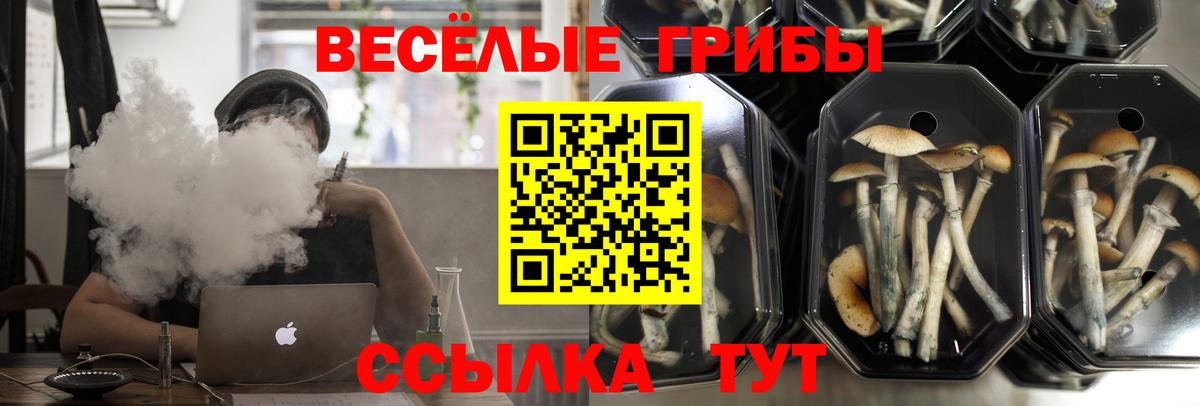 Псилоцибиновые грибы мухоморы  Вход с VPN  Псилоцибиновые грибы MAGIC MUSHROOMS  Кимры 